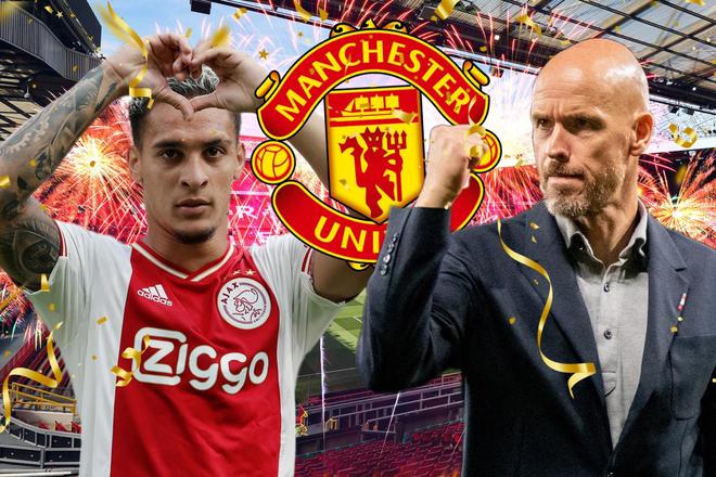 蒂的未来更 蒂的未来更